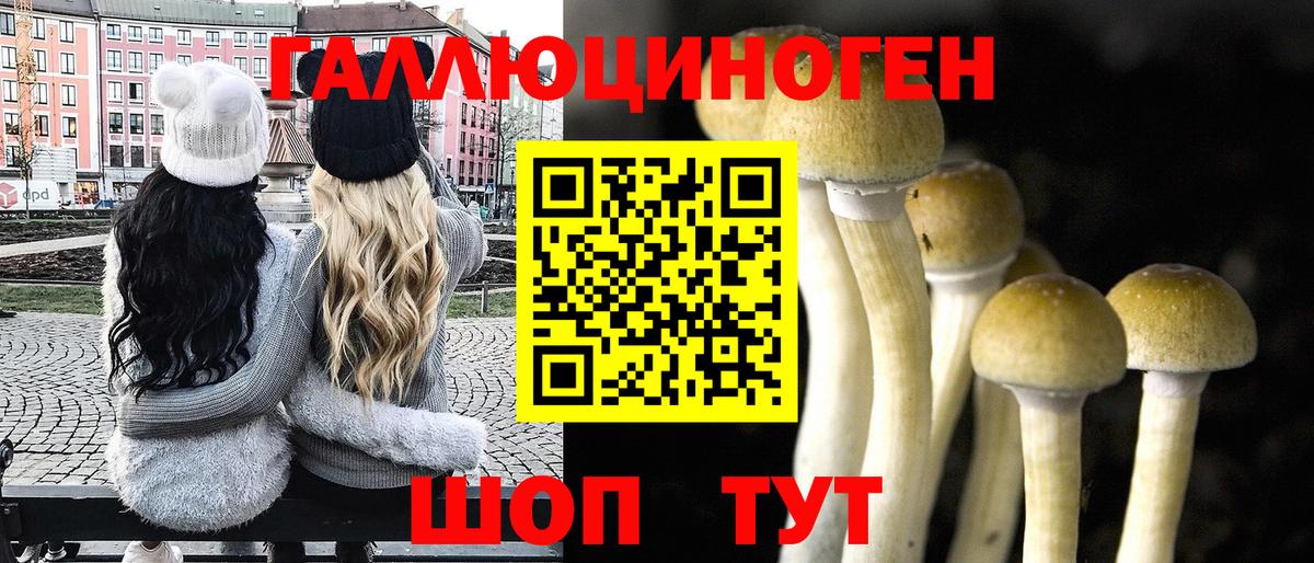 купить наркотики цена  Галлюциногенные грибы GOLDEN TEACHER  Вход с VPN  Павловский Посад 